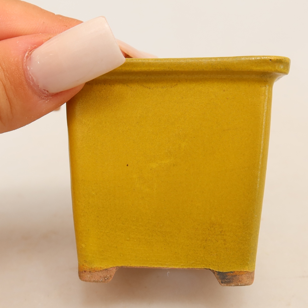Keramik-Bonsai-Schale, 6 x 6 x 5,5 cm, Farbe: Gelb