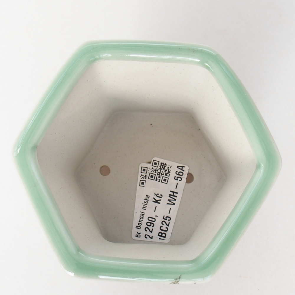 Bonsaischale aus Keramik 10,5 x 9,5 x 8,5 cm, grün
