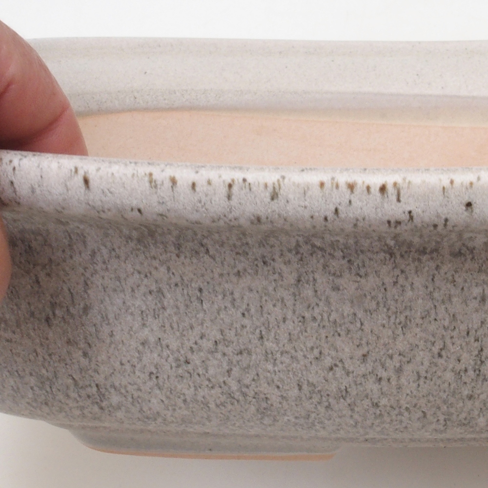 Bonsai-Schale H10 - 37 x 28 x 9 cm - beige