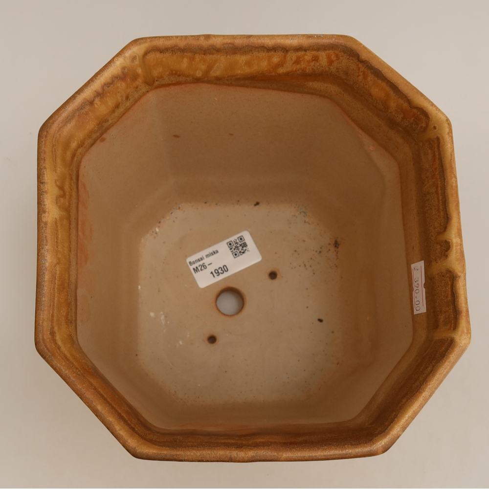 Keramik-Bonsai-Schale, 17,5 x 17,5 x 15,5 cm, Farbe: Beige