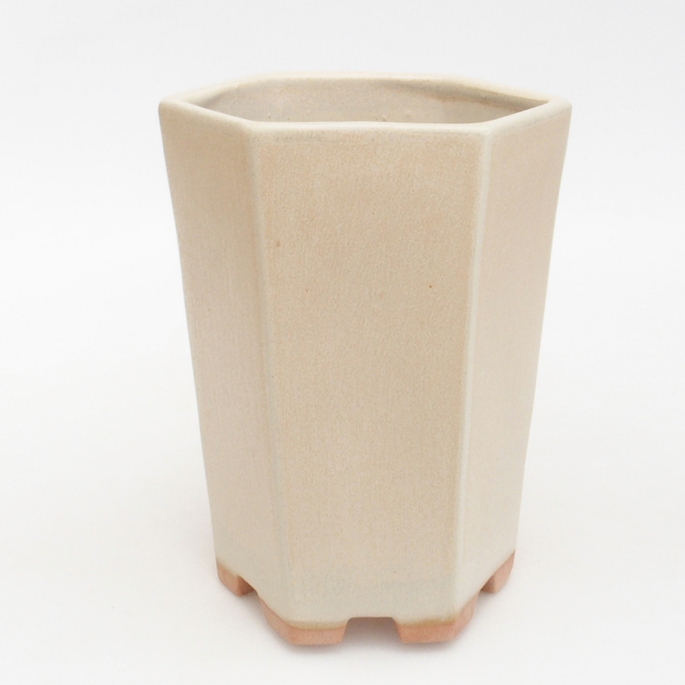 Keramik-Bonsaischale 12,5 x 11,5 x 16,5 cm, Farbe Beige
