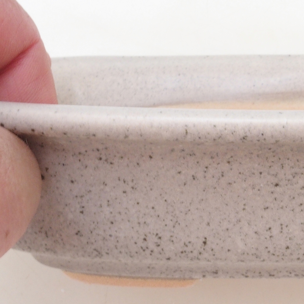 Bonsai-Schale H02 - 19 x 13 x 5 cm - beige