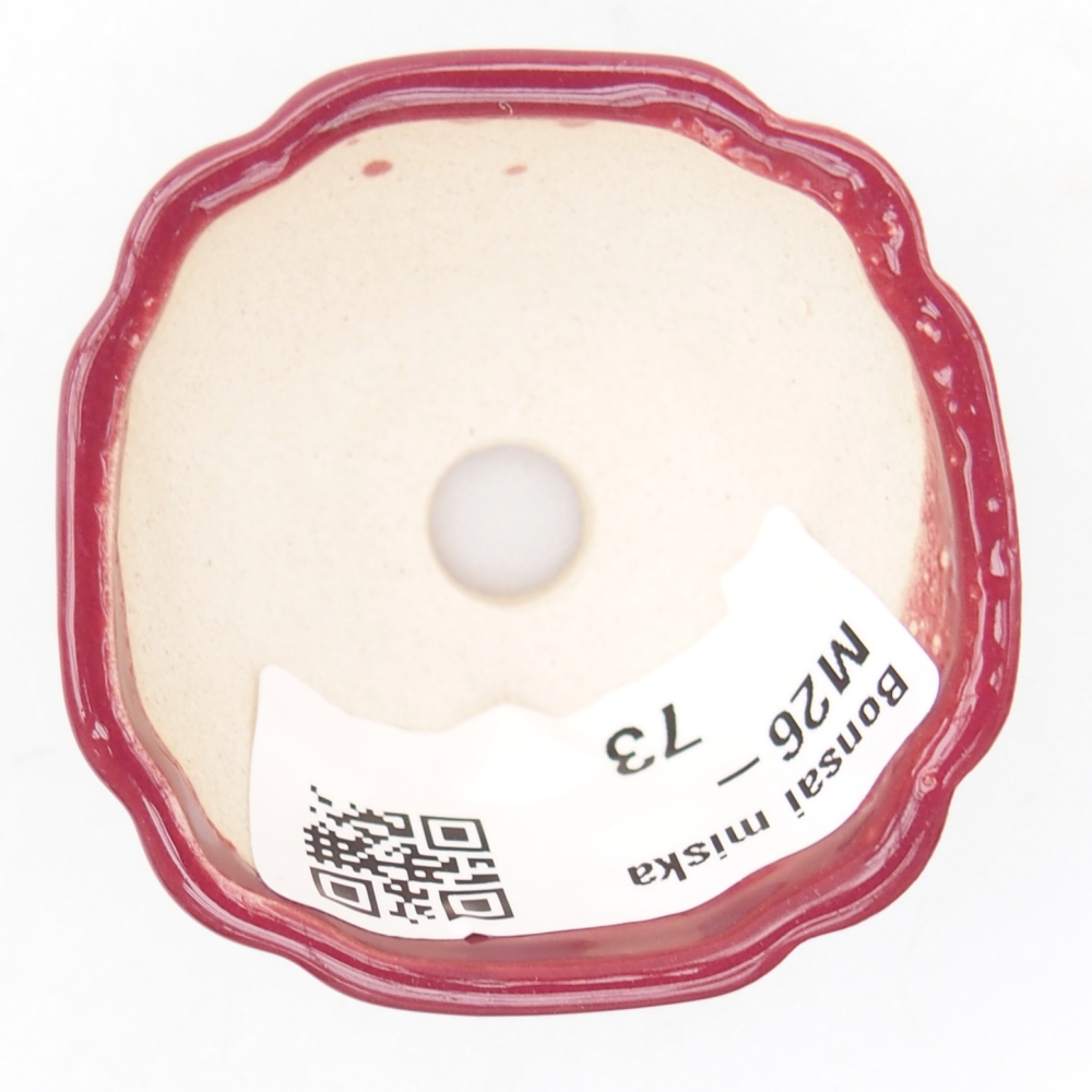 Mini-Bonsaischale 4,5 x 4,5 x 2,5 cm, bordeauxrot