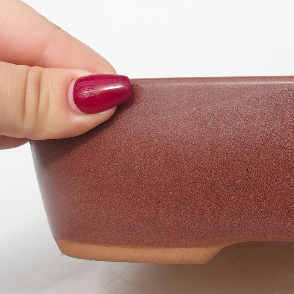 Keramik-Bonsaischale 23 x 18 x 5,5 cm, Burgund Farbe