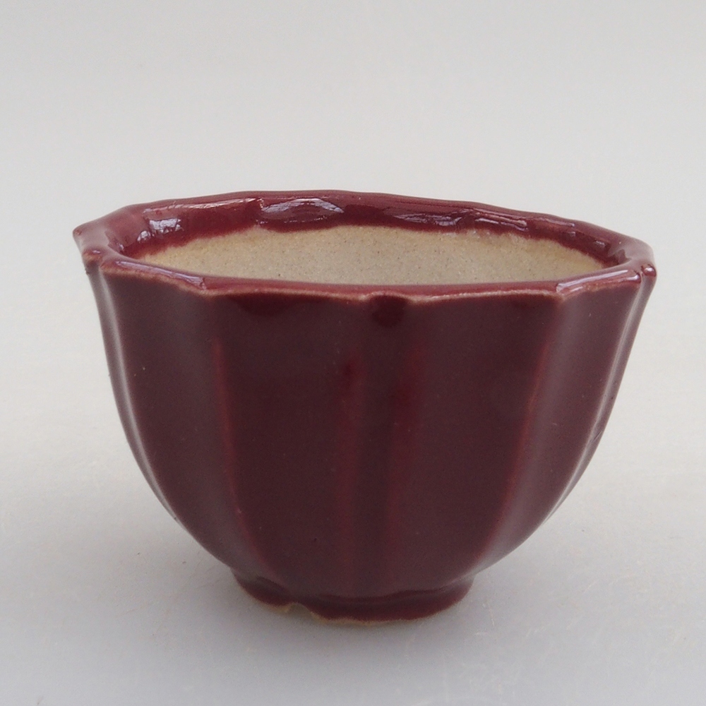 Mini-Bonsaischale 5 x 5 x 3 cm, Farbe Burgunder