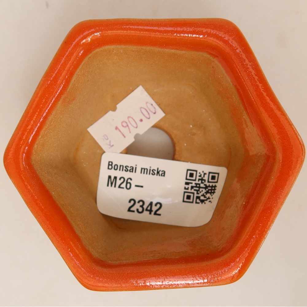 Keramik-Bonsai-Schale 7,5 x 7 x 4 cm, Farbe: Orange