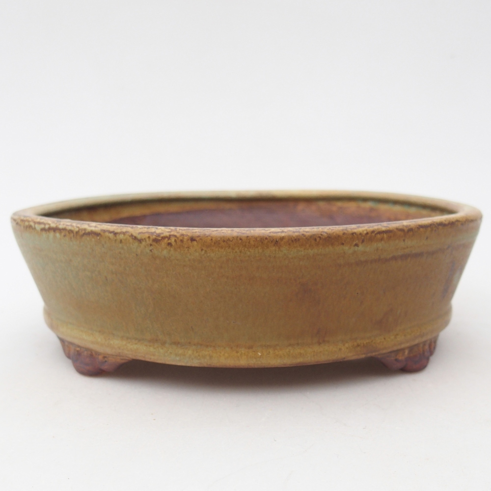 Bonsaischale aus Keramik 17,5 x 17,5 x 5 cm, grün