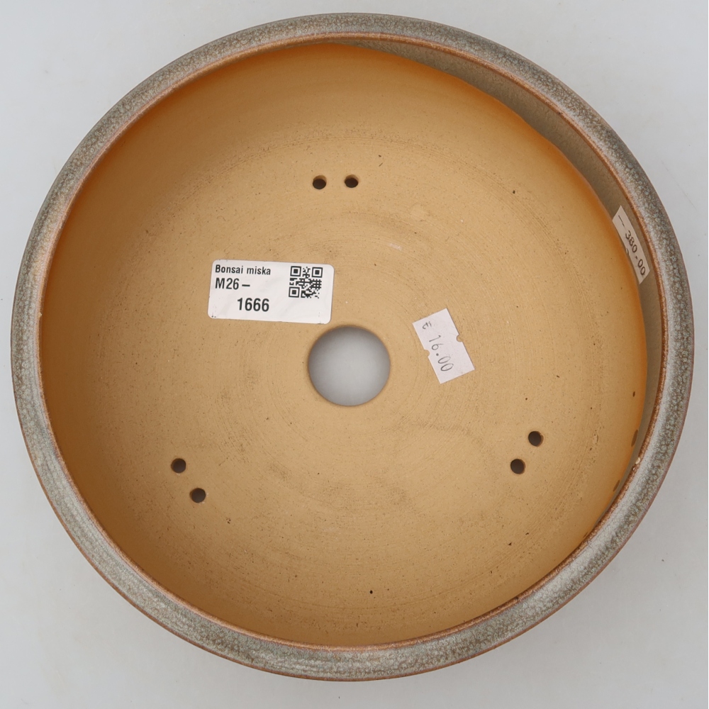 Keramik-Bonsai-Schale, 19 x 19 x 6,5 cm, Farbe: Beige