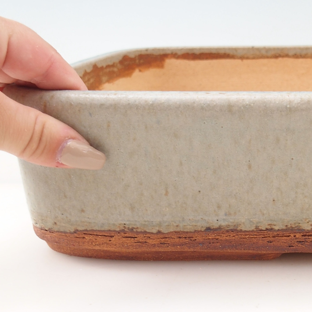 Bonsaischale 38,5 x 30 x 8,5 cm , Farbe beige