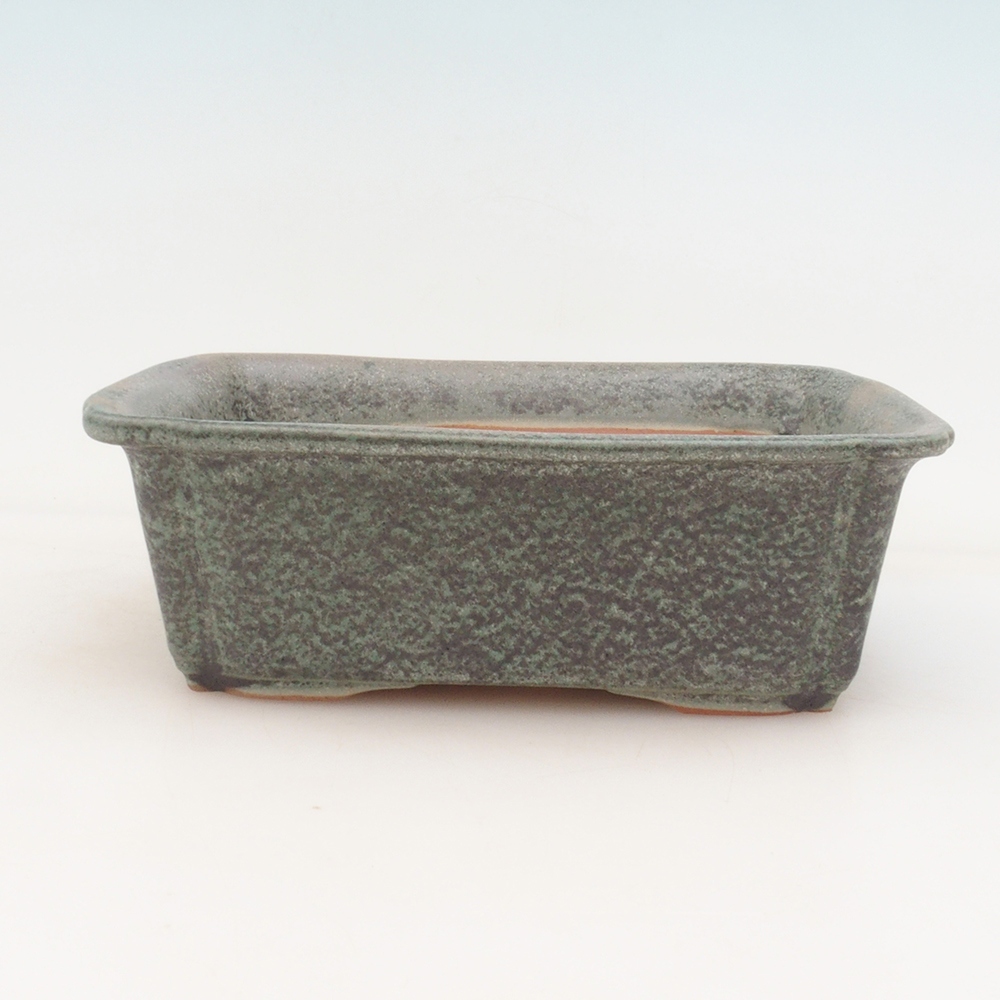 Bonsai-Untertasse H50 – 17 x 12,5 x 5,5 cm – grün