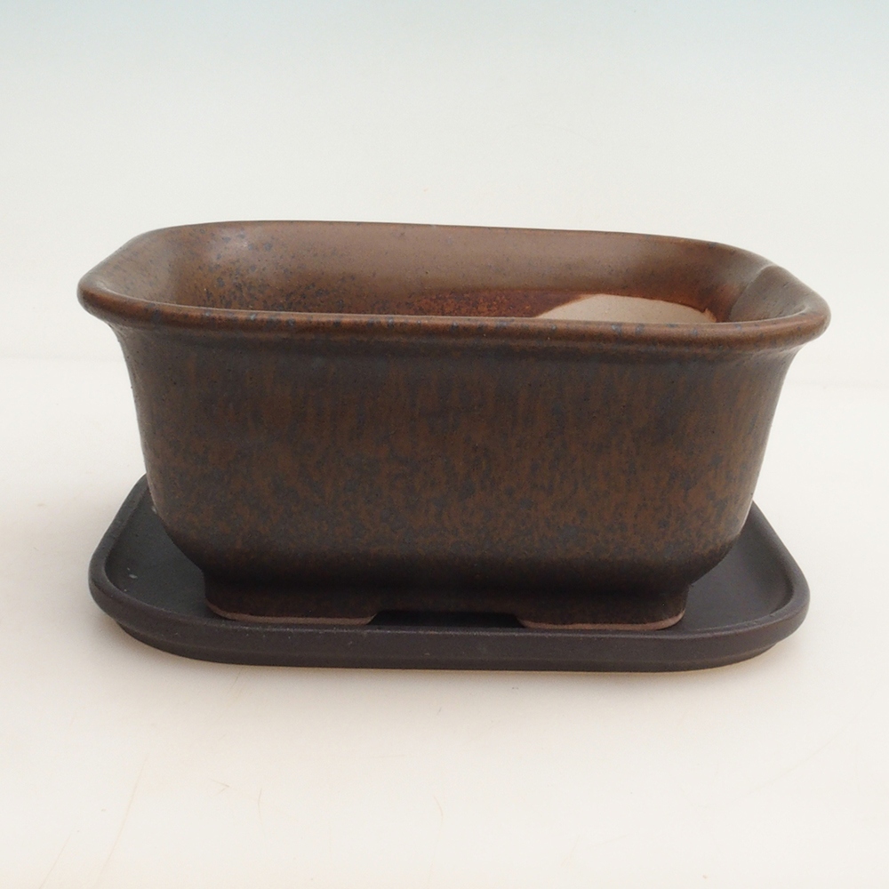 Bonsai-Schale + Untertasse H36 – 17 x 15 x 7,5 cm – Braun