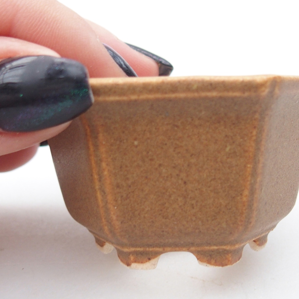 Mini-Bonsaischale 5,5 x 5 x 3 cm, braun