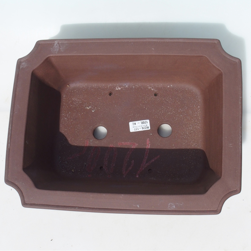 Bonsaischale 40,5 x 31,5 x 13 cm Birke braun