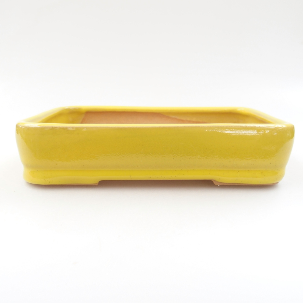 Keramik-Bonsaischale 18 x 13 x 4 cm, Farbe gelb