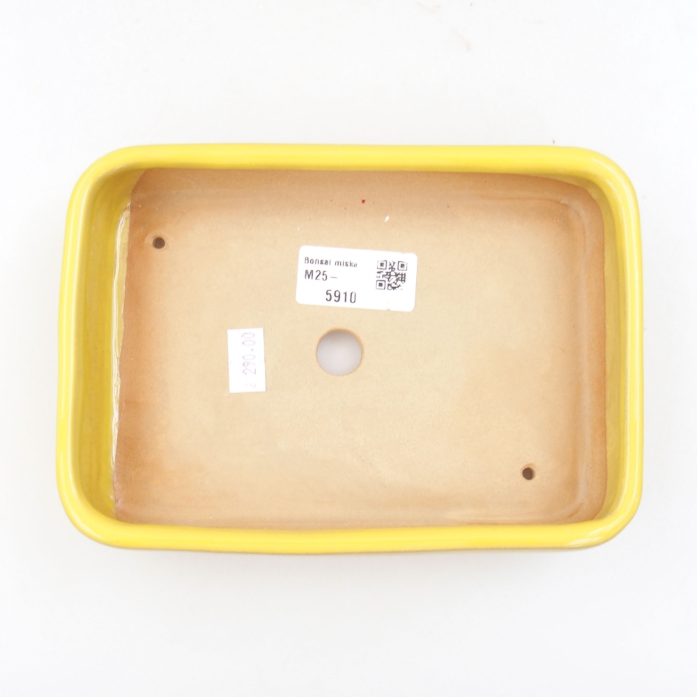 Keramik-Bonsaischale 18 x 13 x 4 cm, Farbe gelb