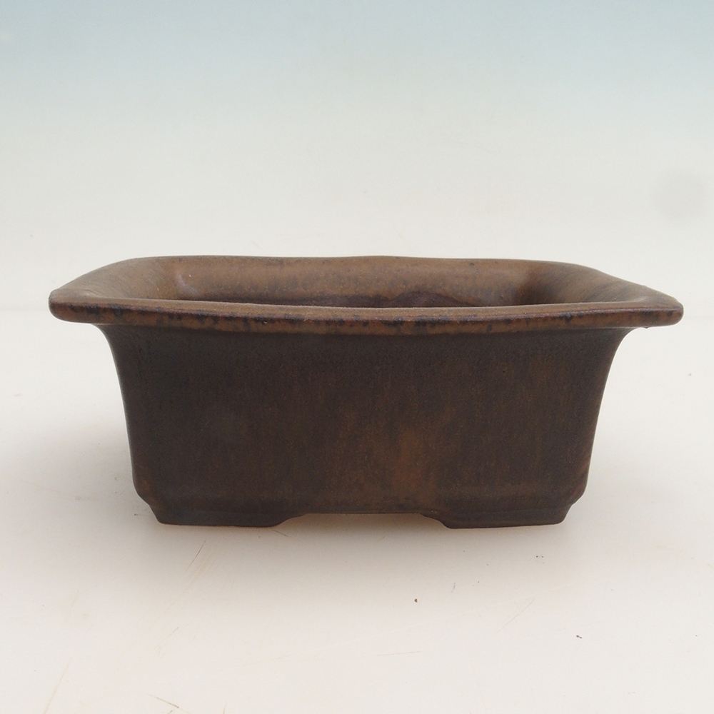 Bonsai-Schale + Untertasse H11 - 11,5 x 10 x 4 cm - Braun