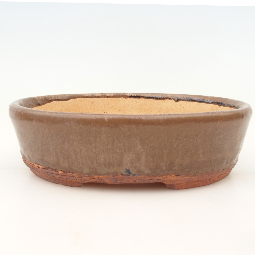 Bonsaischale 19,5 x 16 x 6 cm , Farbe braun