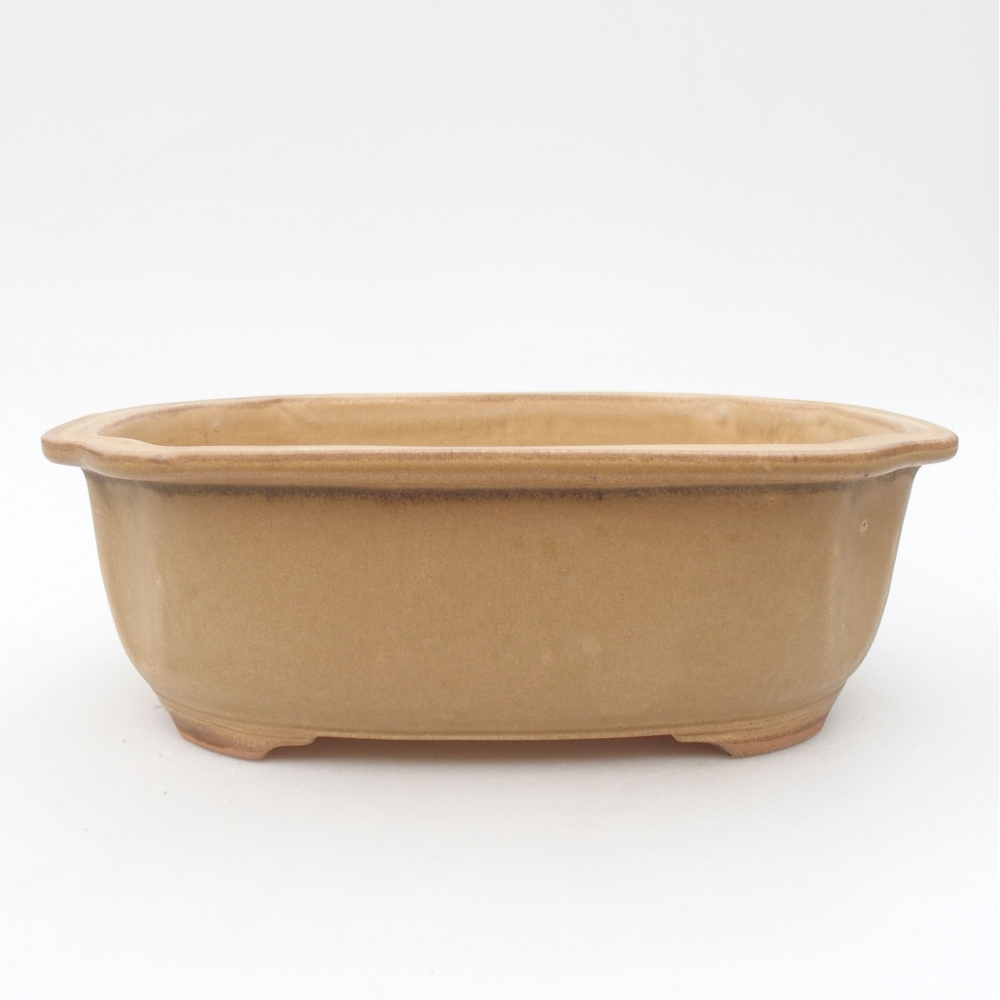 Keramik-Bonsaischale 22,5 x 17,5 x 7,5 cm, Farbe beige