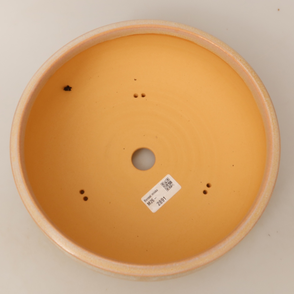 Keramik-Bonsai-Schale 24 x 24 x 9 cm, Farbe: Beige