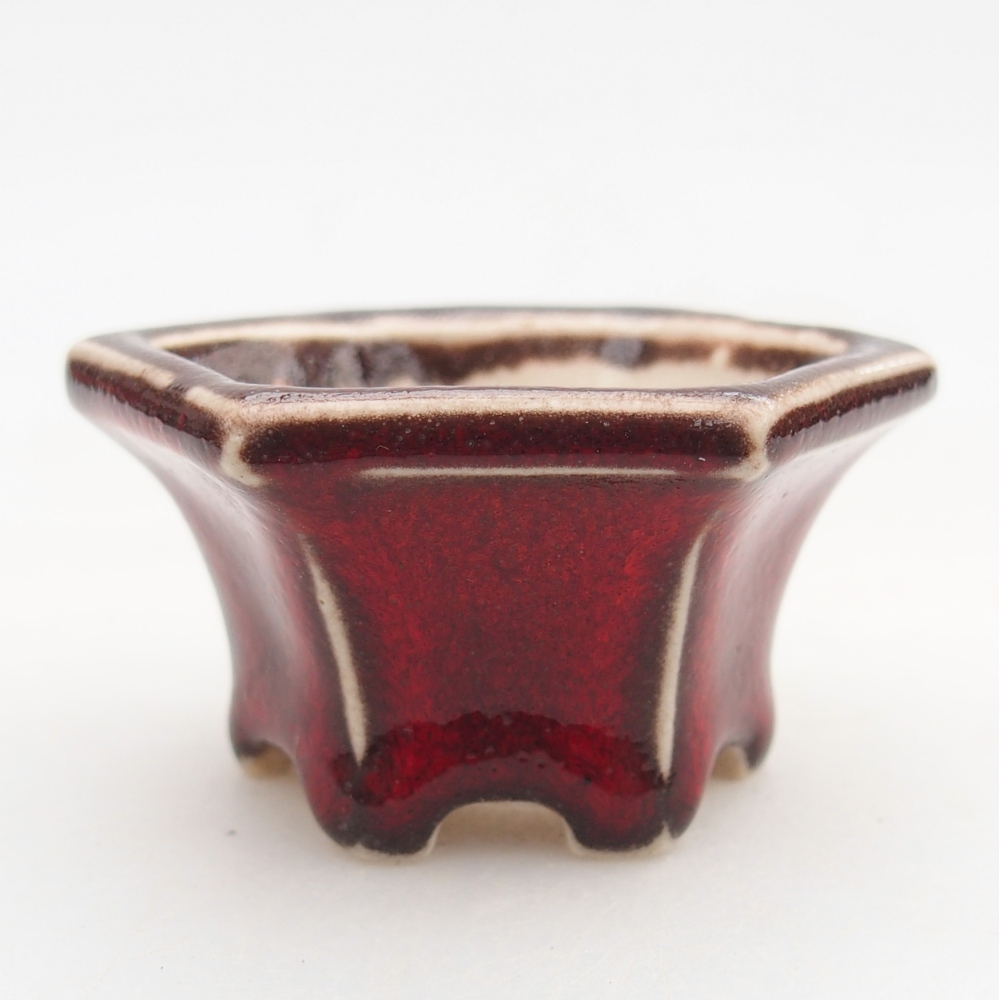 Mini-Bonsaischale 5,5 x 5 x 3 cm, Farbe rot