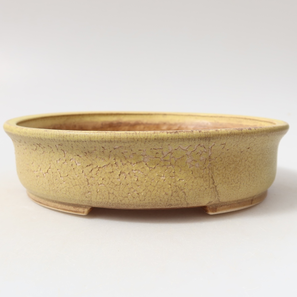 Keramik-Bonsai-Schale, 18 x 16,5 x 4,5 cm, Farbe: Gelb