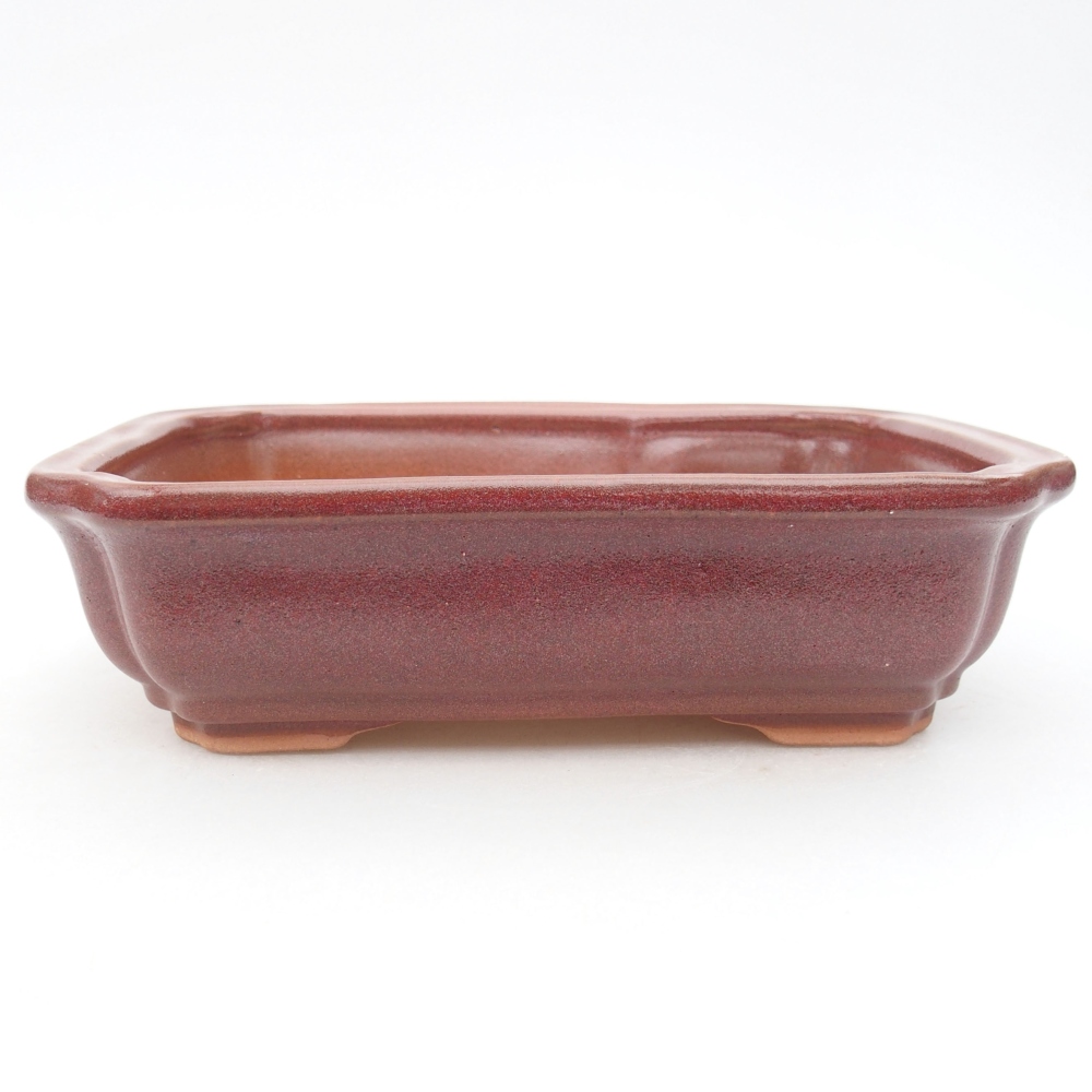 Keramik-Bonsaischale 18 x 13,5 x 5 cm, Farbe Burgunder