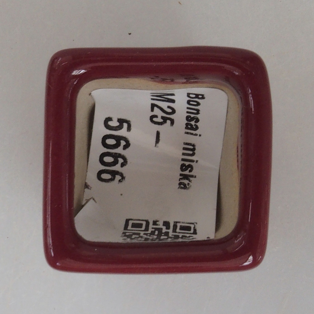 Mini-Bonsaischale 3 x 3 x 3,5  cm, Farbe Burgunder