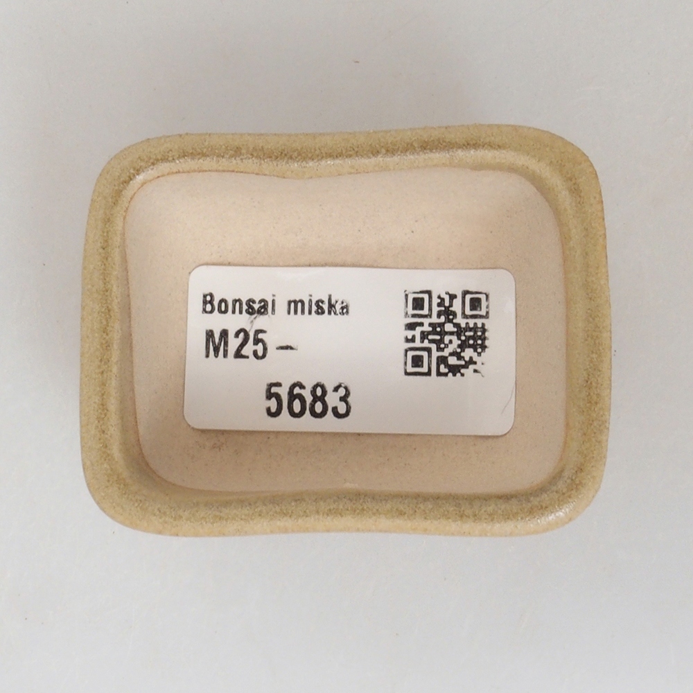 Mini-Bonsaischale 5,5 x 4,5 x 2,5  cm, Farbe braun