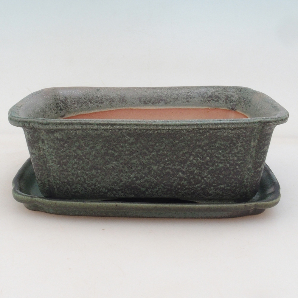 Bonsai-Schale + Untertasse H50 - grün