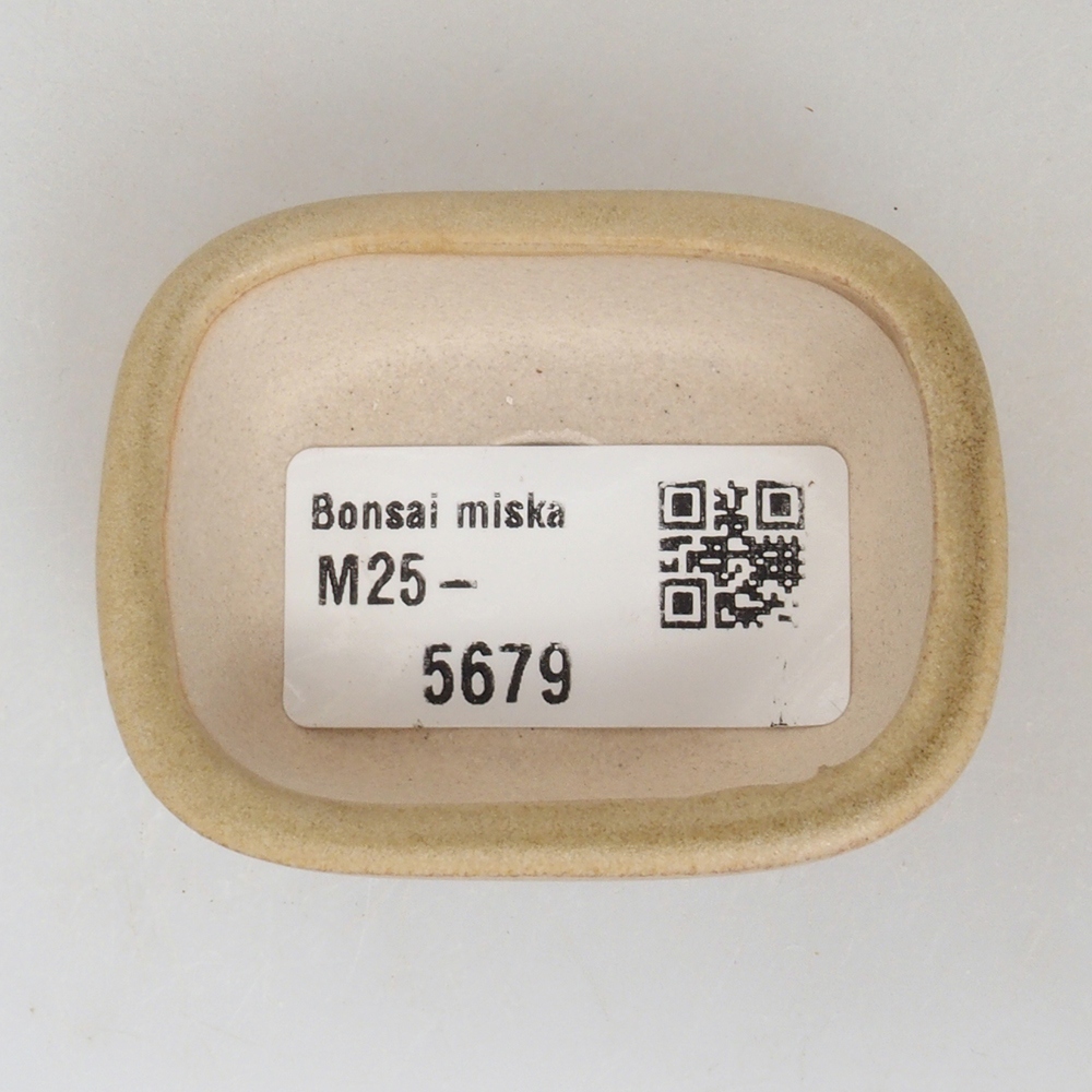 Mini-Bonsaischale 5,5 x 4 x 2  cm, Farbe braun