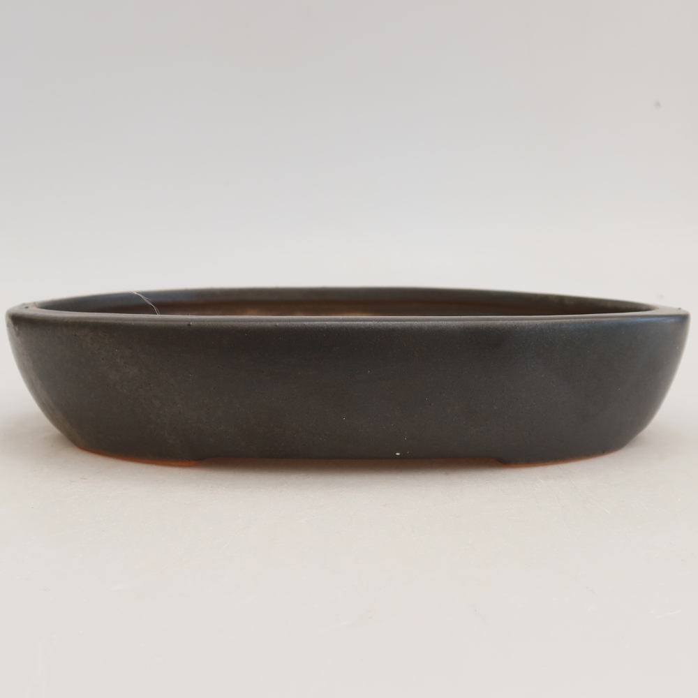 Keramik-Bonsai-Schale 22 x 17 x 4 cm, Farbe: Grau