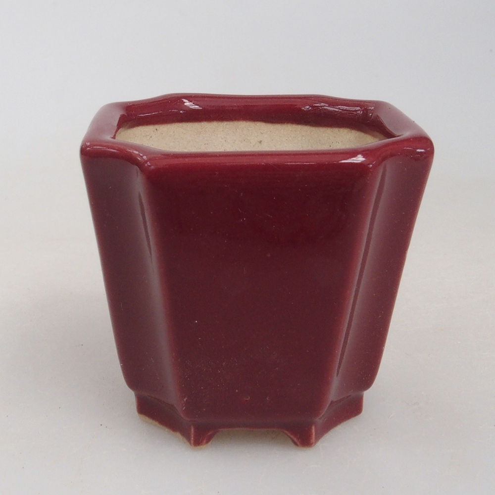 Mini-Bonsaischale 4 x 4 x 4 cm, Farbe Burgunder