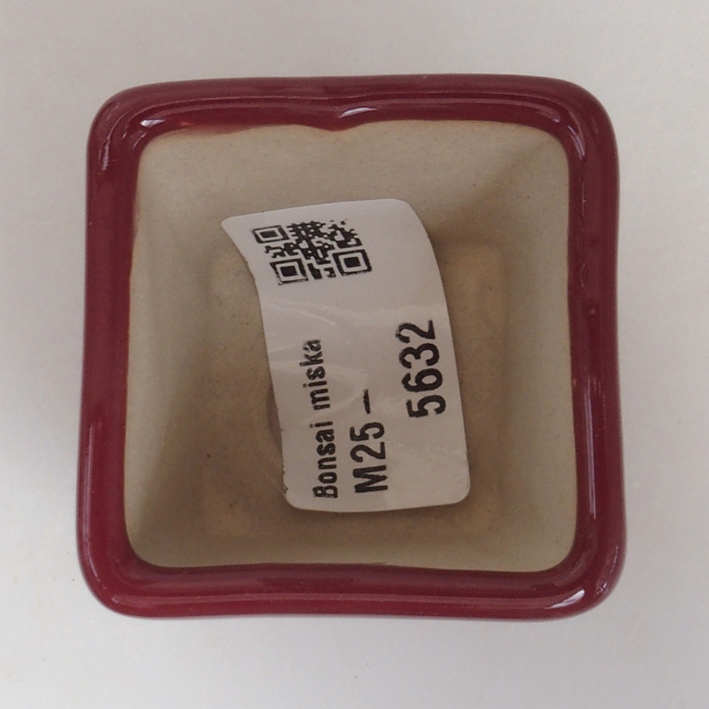 Mini-Bonsaischale 4,5 x 4,5 x 4,5 cm, Farbe Burgunder
