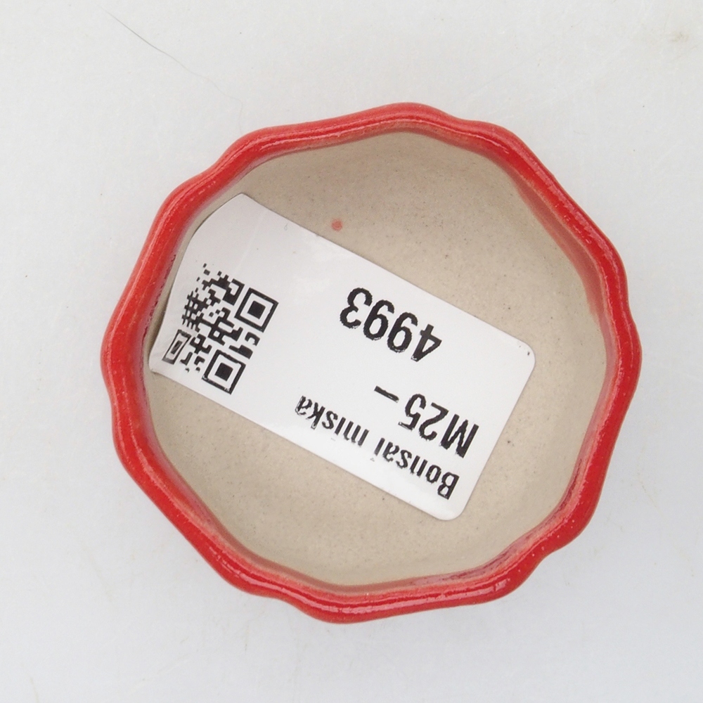 Mini-Bonsaischale 4,5 x 4,5 x 2 cm, Farbe rot