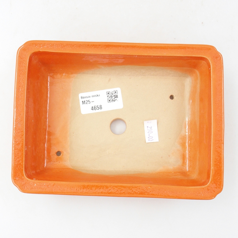 Keramik-Bonsaischale 17,5 x 13 x 4 cm, Farbe Orange