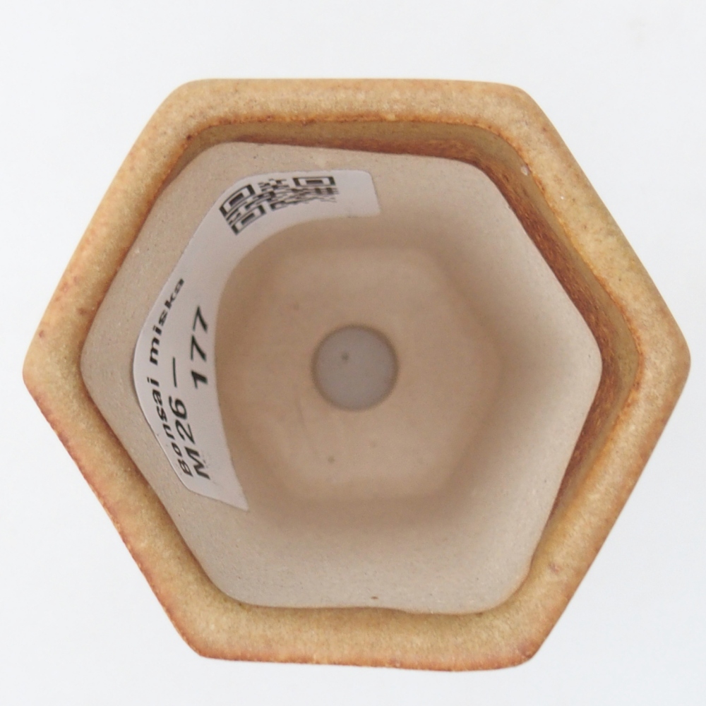 Mini-Bonsaischale 5 x 4,5 x 6,5 cm, braun