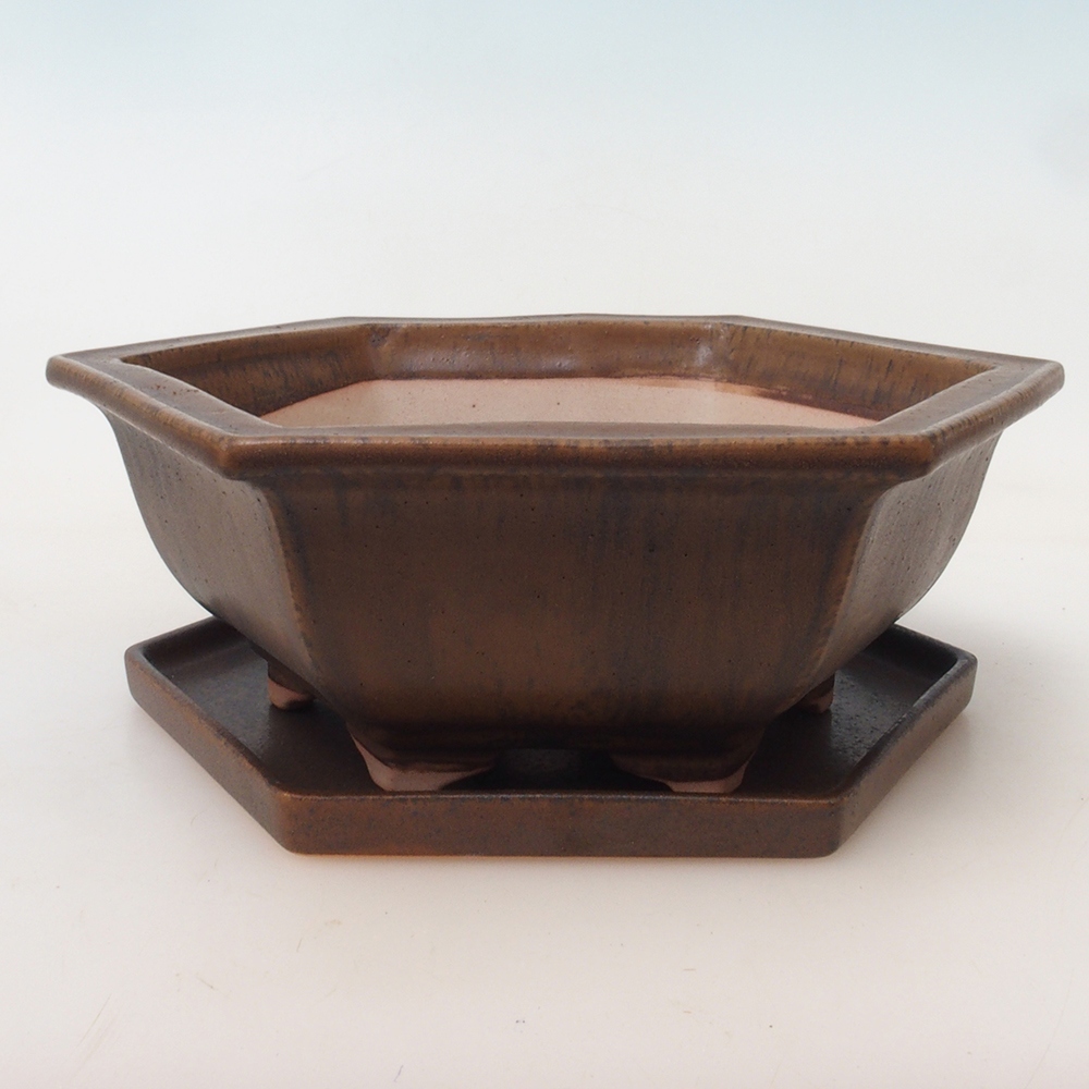 Bonsai-Schale + Unterschale H53 – 19 x 21,5 x 7 cm. – braun