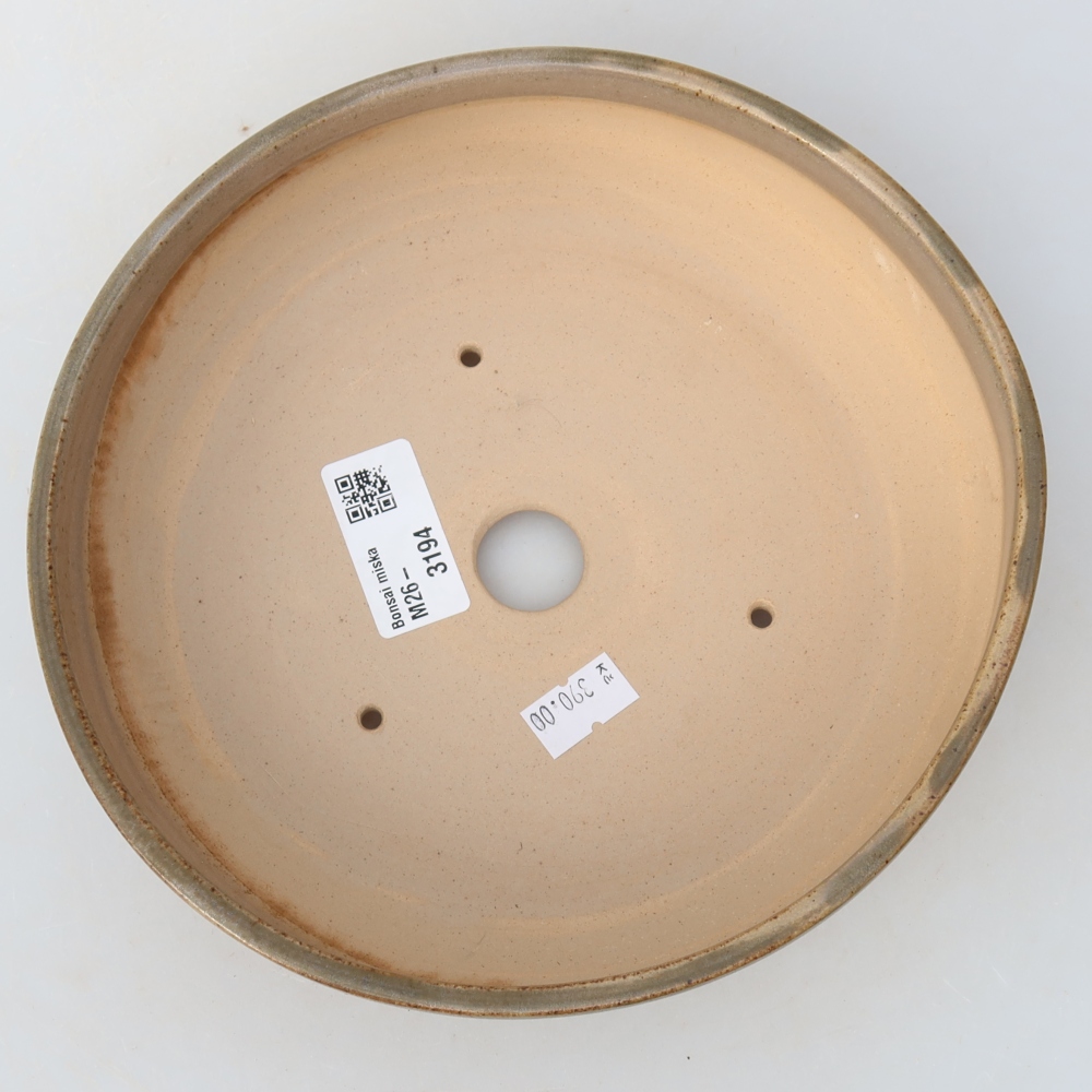 Keramik-Bonsai-Schale 19 x 19 x 5,5 cm, Farbe: Beige