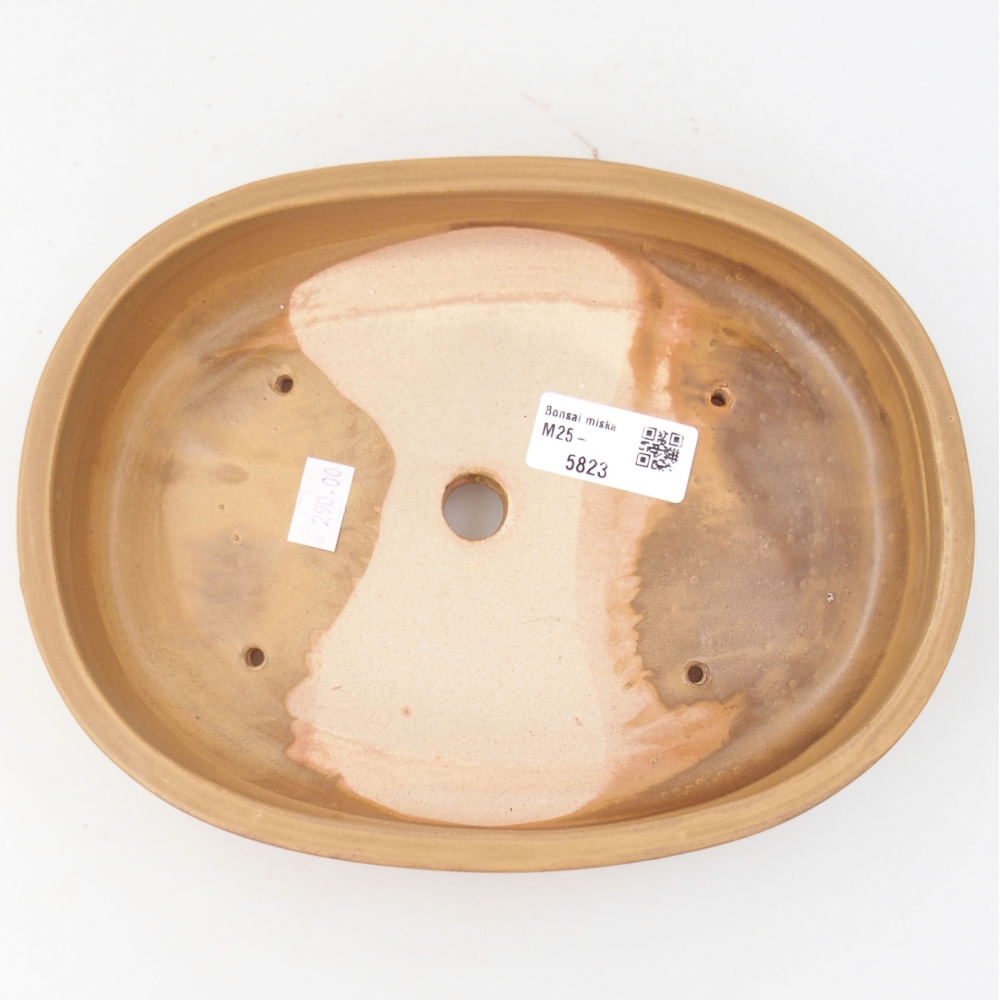 Keramik-Bonsaischale 22 x 16,5 x 4 cm, Farbe beige