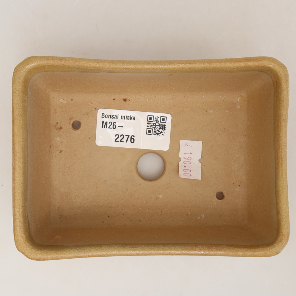 Keramik-Bonsai-Schale 13 x 9 x 5 cm, Farbe: Beige