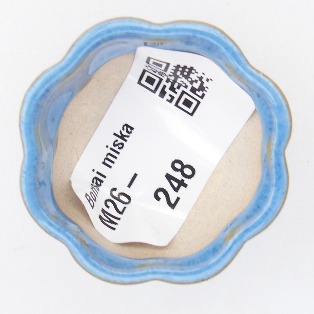 Mini-Bonsaischale 4 x 4 x 2 cm, blau