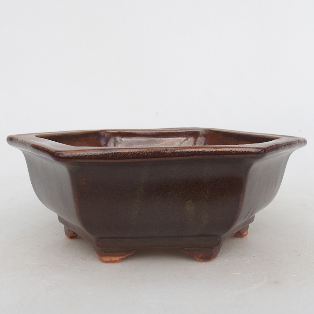 Keramik-Bonsaischale 17 x 15 x 6 cm, braun Farbe