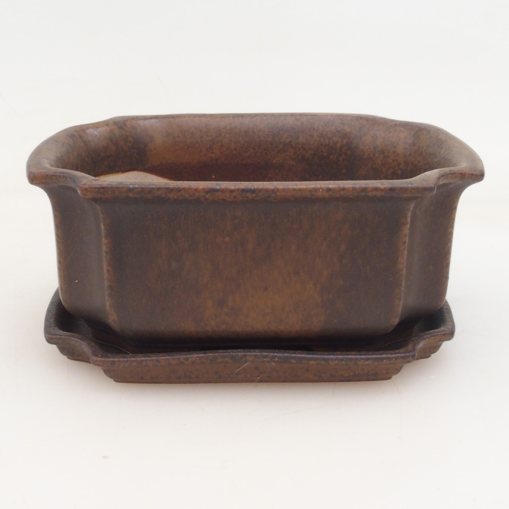 Bonsai-Schale + Untertasse H01
