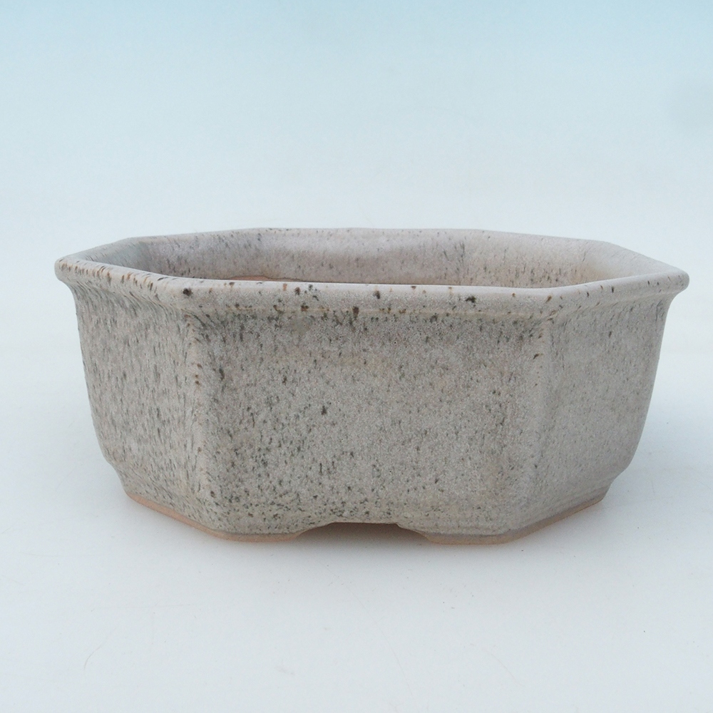 Bonsai-Schale + Untertasse H01 – 12 x 9 x 5 cm