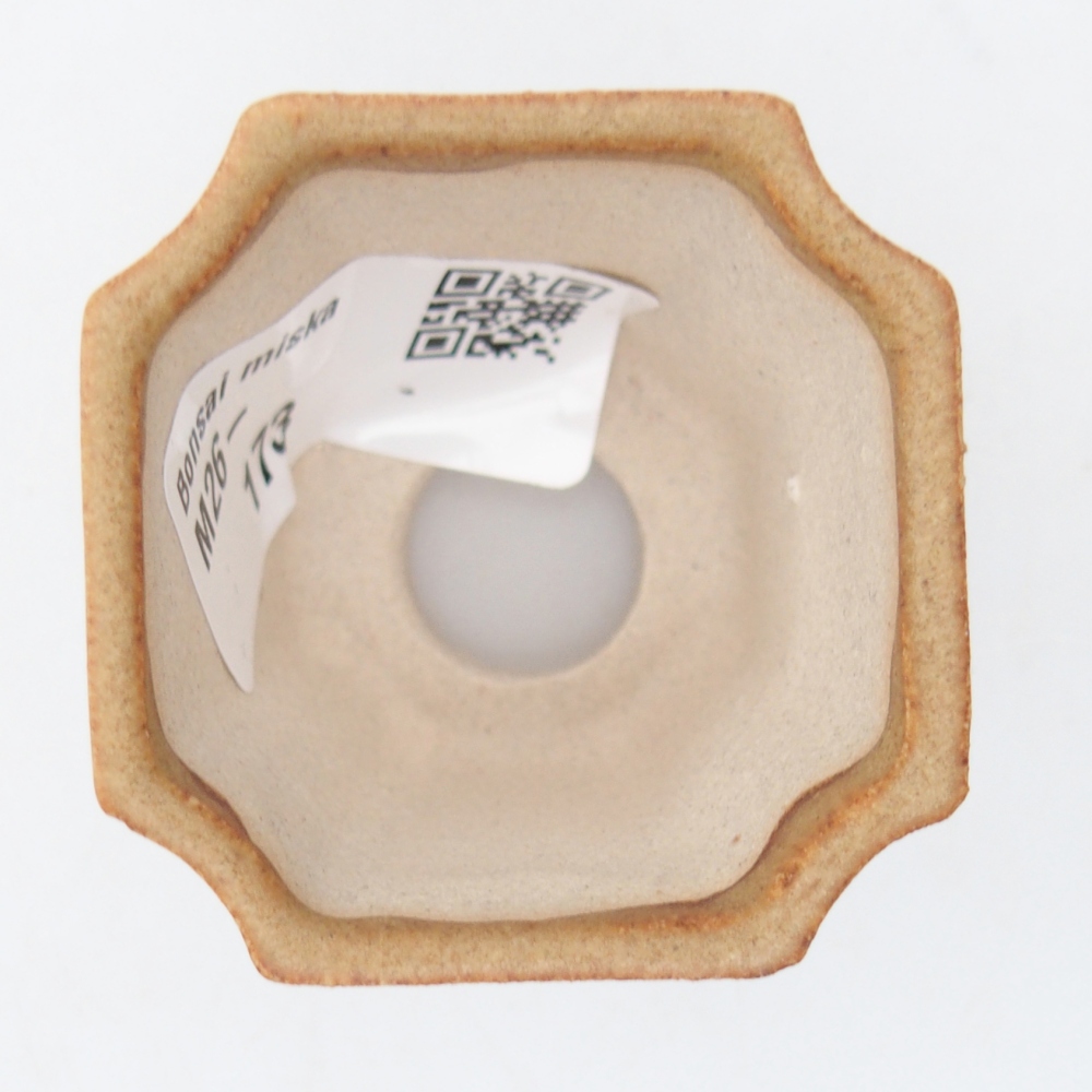 Mini-Bonsaischale 4,5 x 4,5 x 4 cm, braun