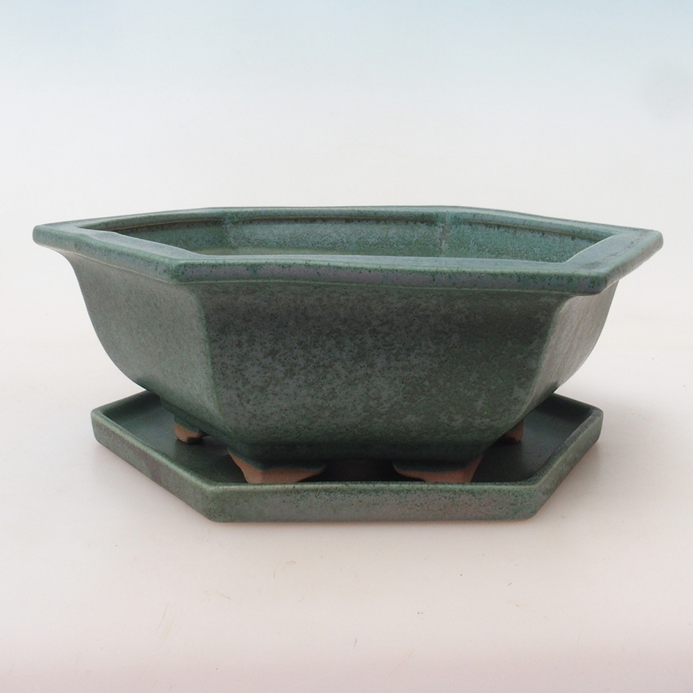 Bonsai-Schale + Unterschale H53 – 19 x 21,5 x 7 cm. – grün