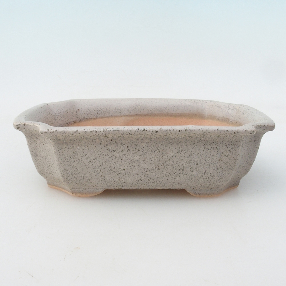 Bonsai-Schale + Untertasse H01 – 12 x 9 x 5 cm