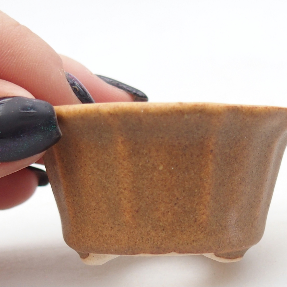 Mini-Bonsaischale 5,5 x 5,5 x 3 cm, braun