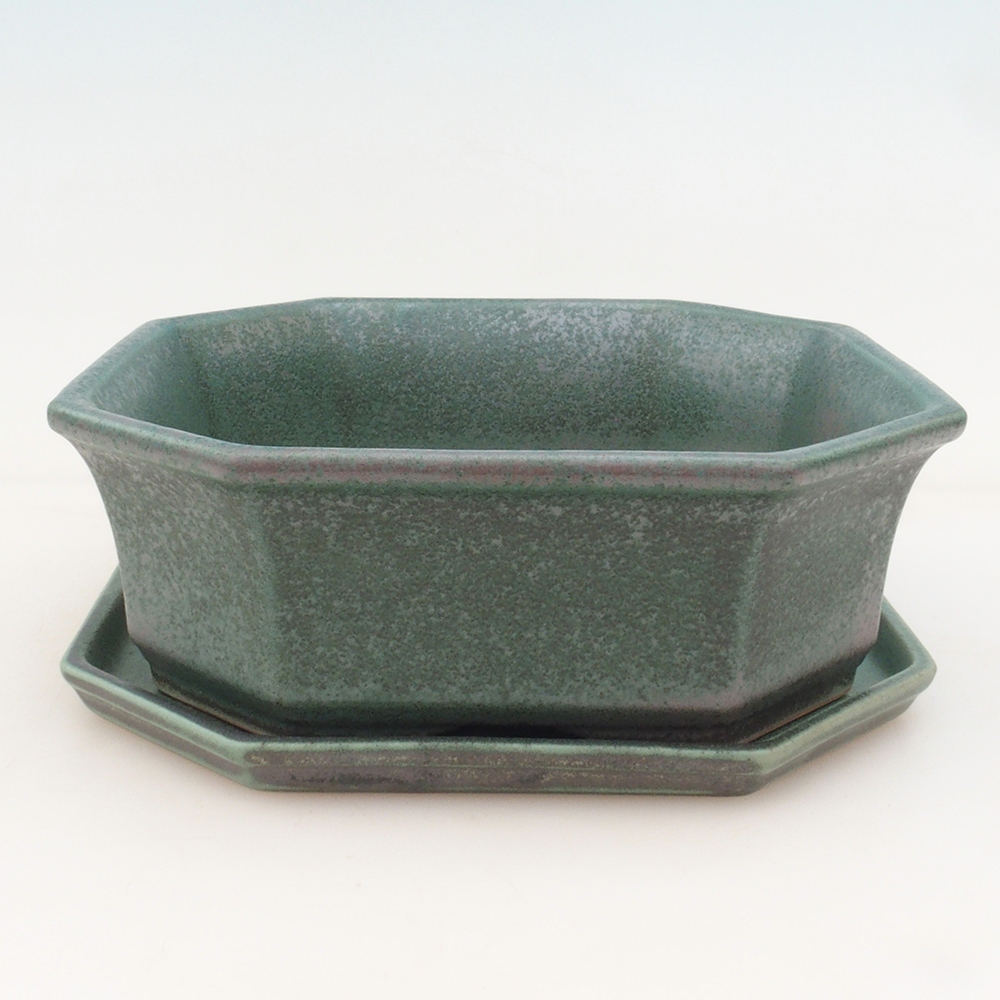 Bonsai-Schale + Schale H14 - grün