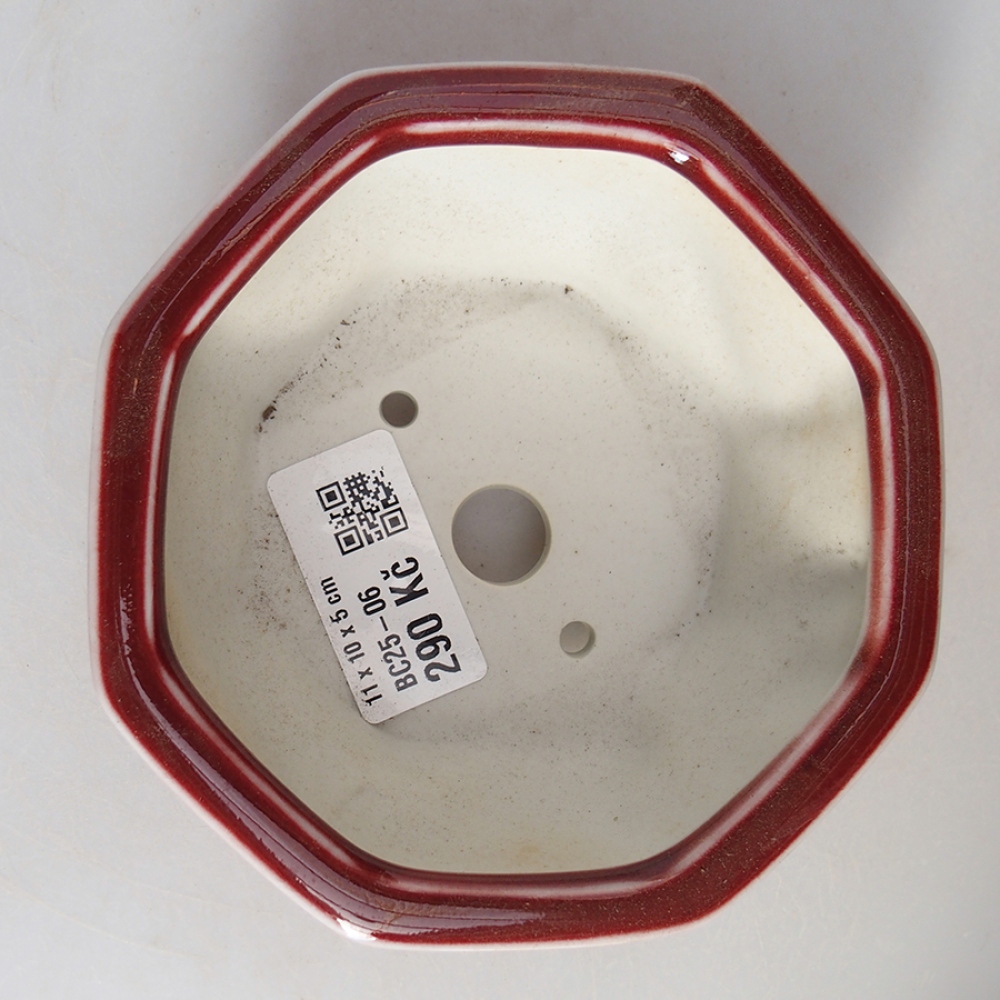 Keramik-Bonsaischale 11 x 10 x 5 cm, Farbe Rot